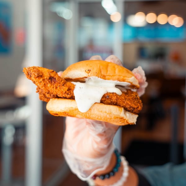A gloved hand holds a chicken sandwich with a crispy fried chicken fillet and white sauce.